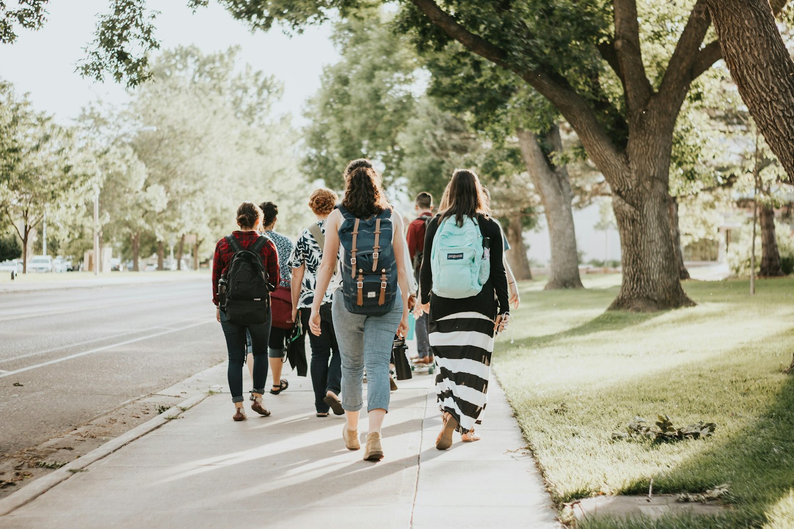 College students walking together on a tree-lined campus path